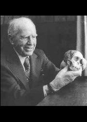 Raymond Dart (1893-1988). Baby Taung (Taung: luogo del leone)