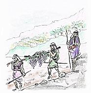 Libro dei Numeri (13,22)