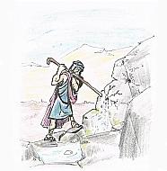 Libro dei Numeri (20,10)